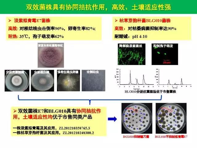 微信图片_20200420153706.jpg