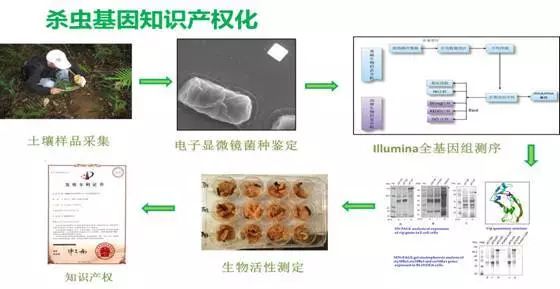 微信图片_20200420211813.jpg