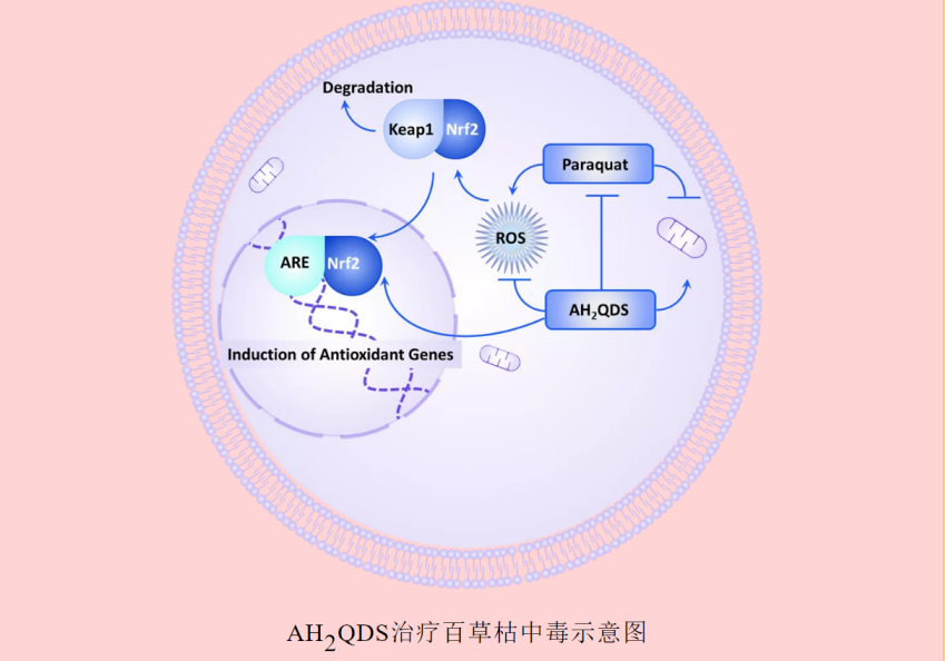 微信图片_20211015130932.png